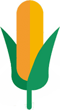 ico_12-1.png